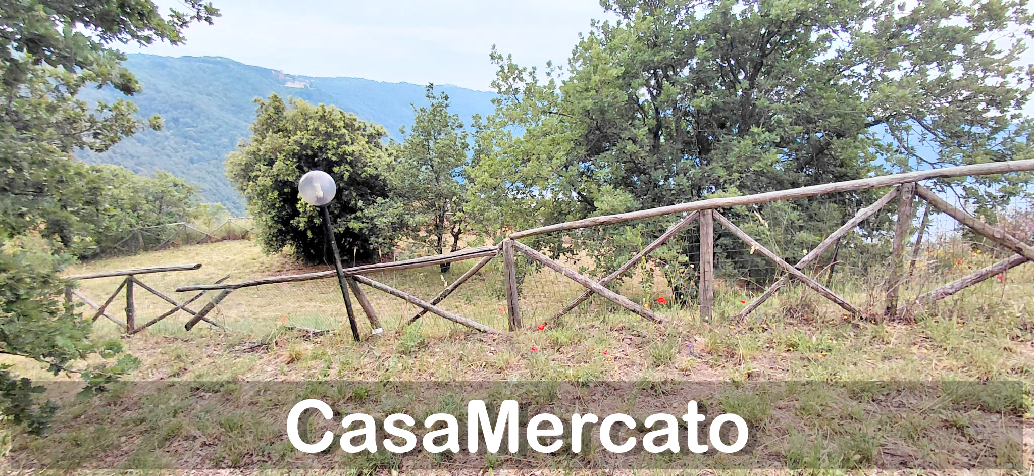 Foto annuncio 15