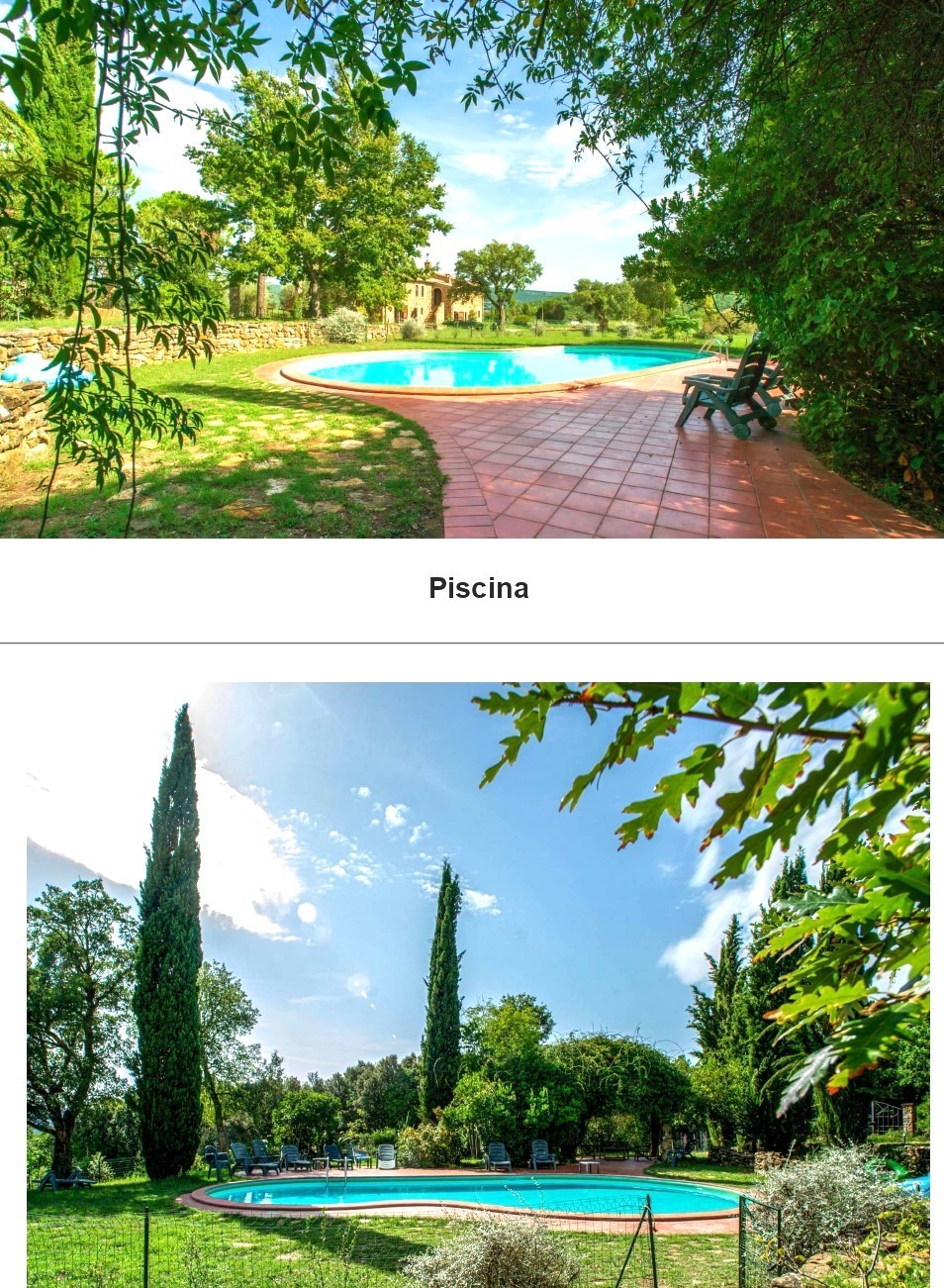 Immagine 3 di Casa vacanze in vendita  a Monterotondo Marittimo