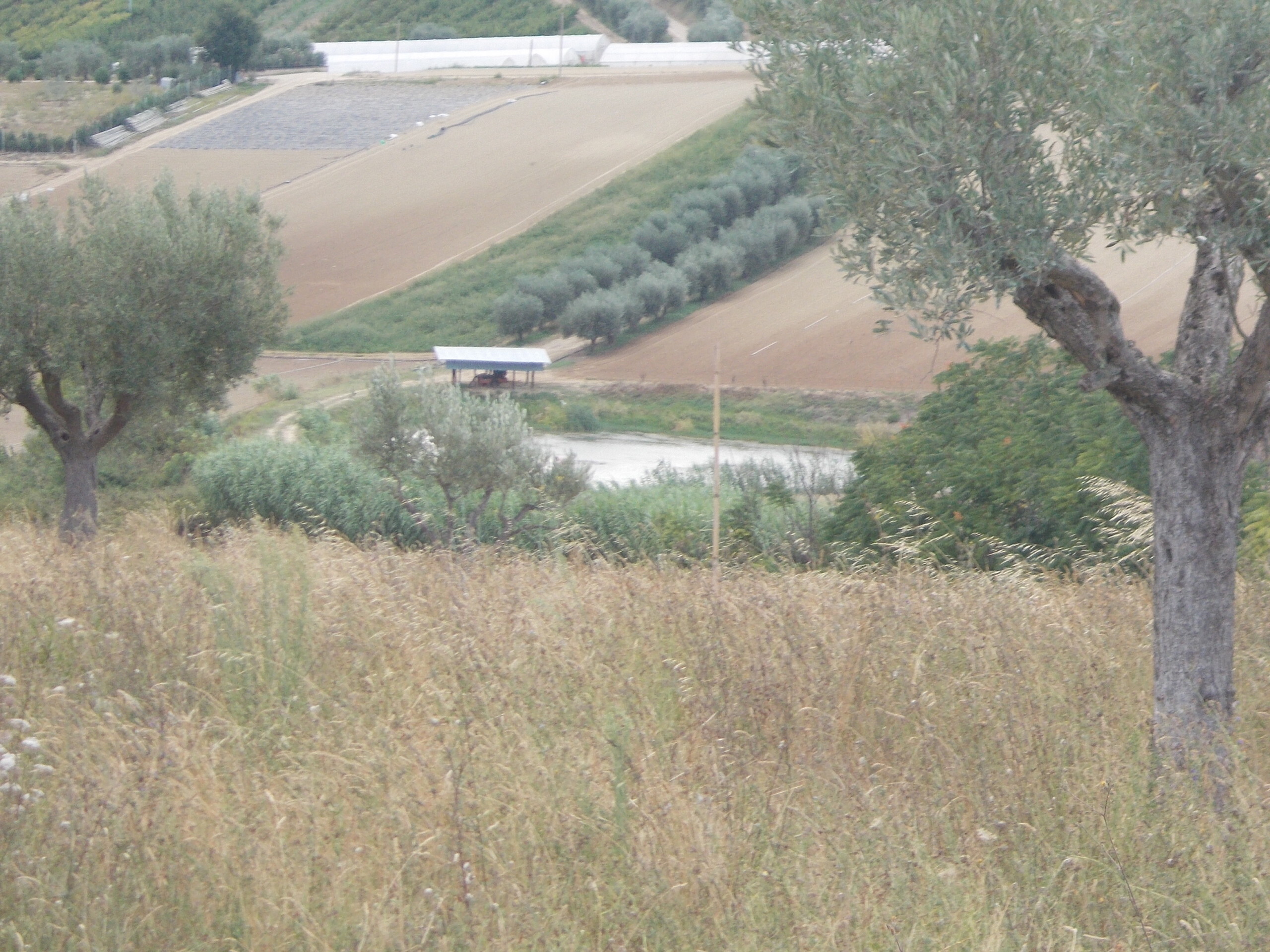 Immagine 2 di Casa indipendente in vendita  a Colonnella