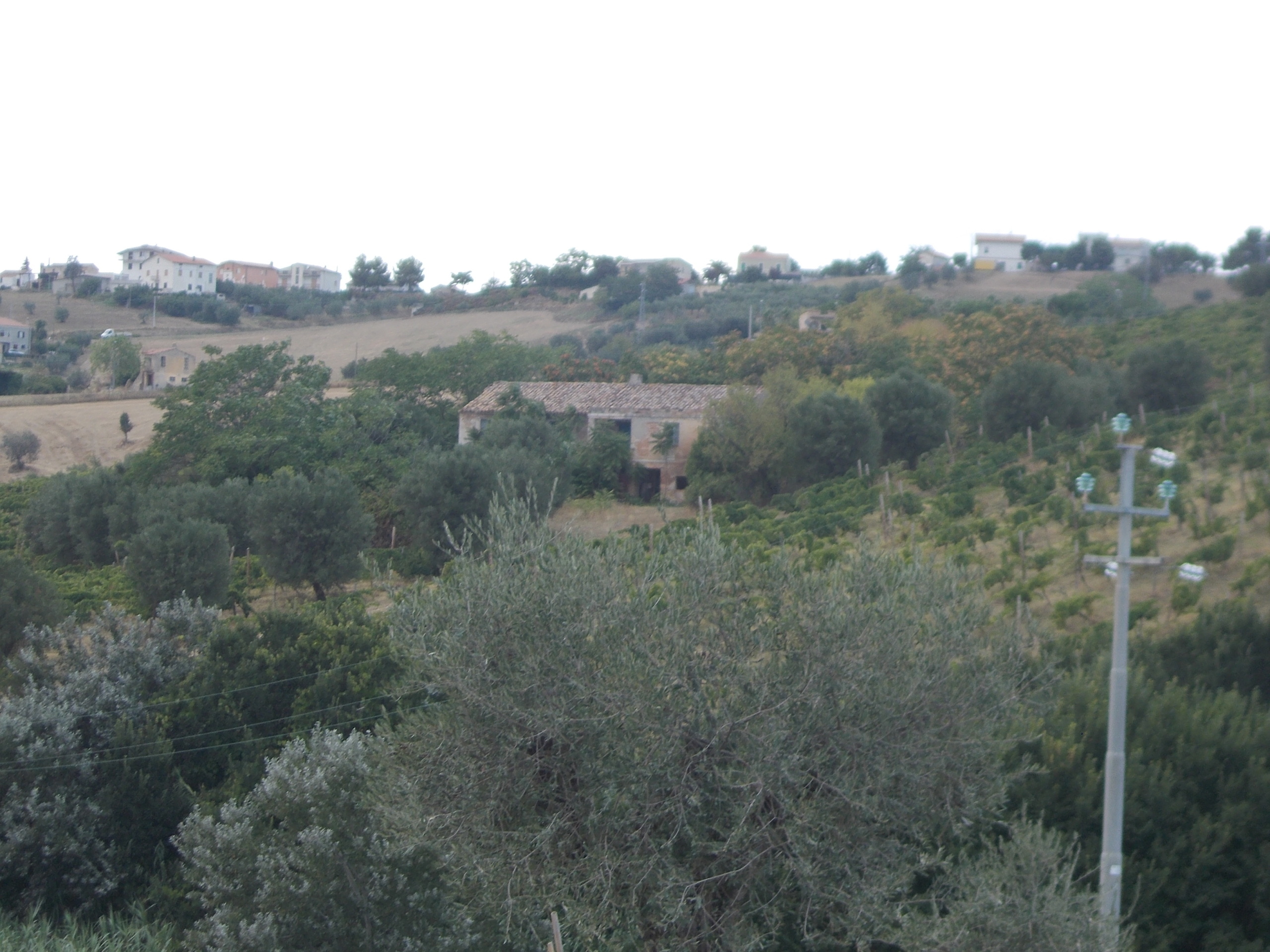 Immagine 1 di Casa indipendente in vendita  a Colonnella
