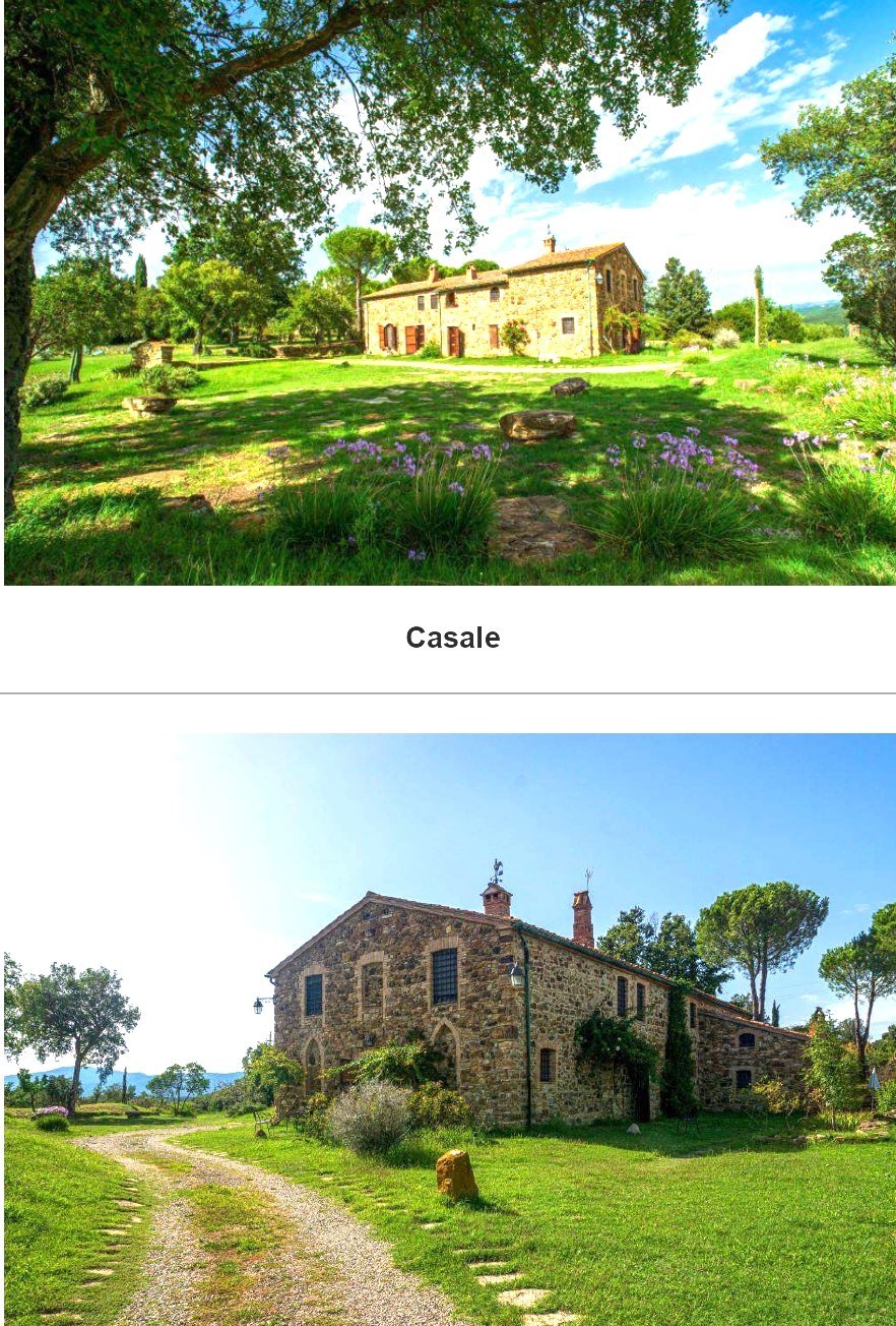 Immagine 6 di Casa vacanze in vendita  a Monterotondo Marittimo