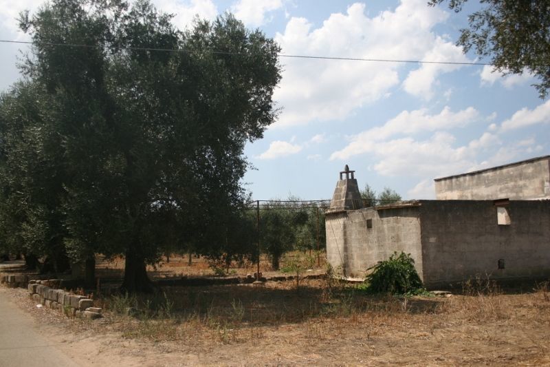 Immagine 27 di Terreno agricolo in vendita  in contrada mandrò a Cutrofiano