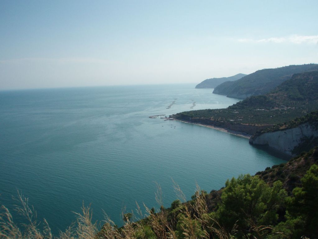 Immagine 13 di Terreno agricolo in vendita  a Mattinata