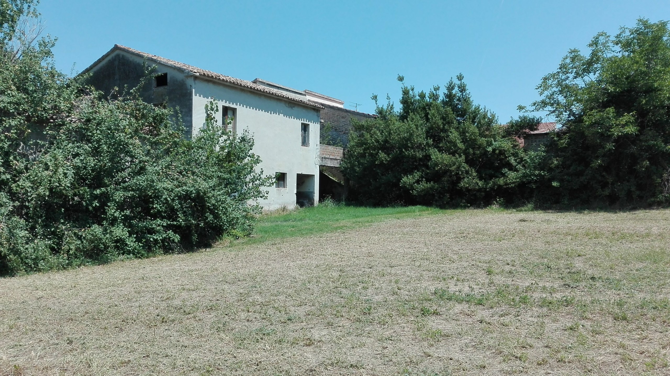 Immagine 4 di Casa indipendente in vendita  a Controguerra