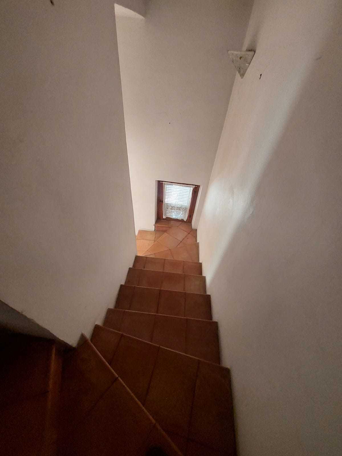 Foto annuncio 12
