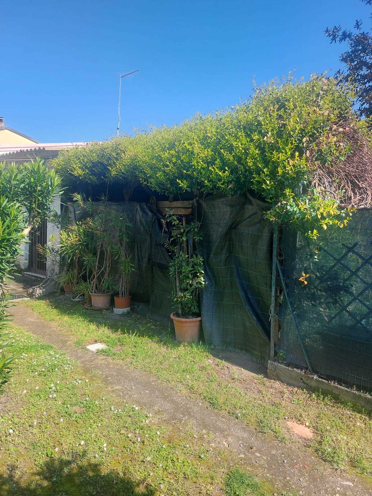 Foto annuncio 5