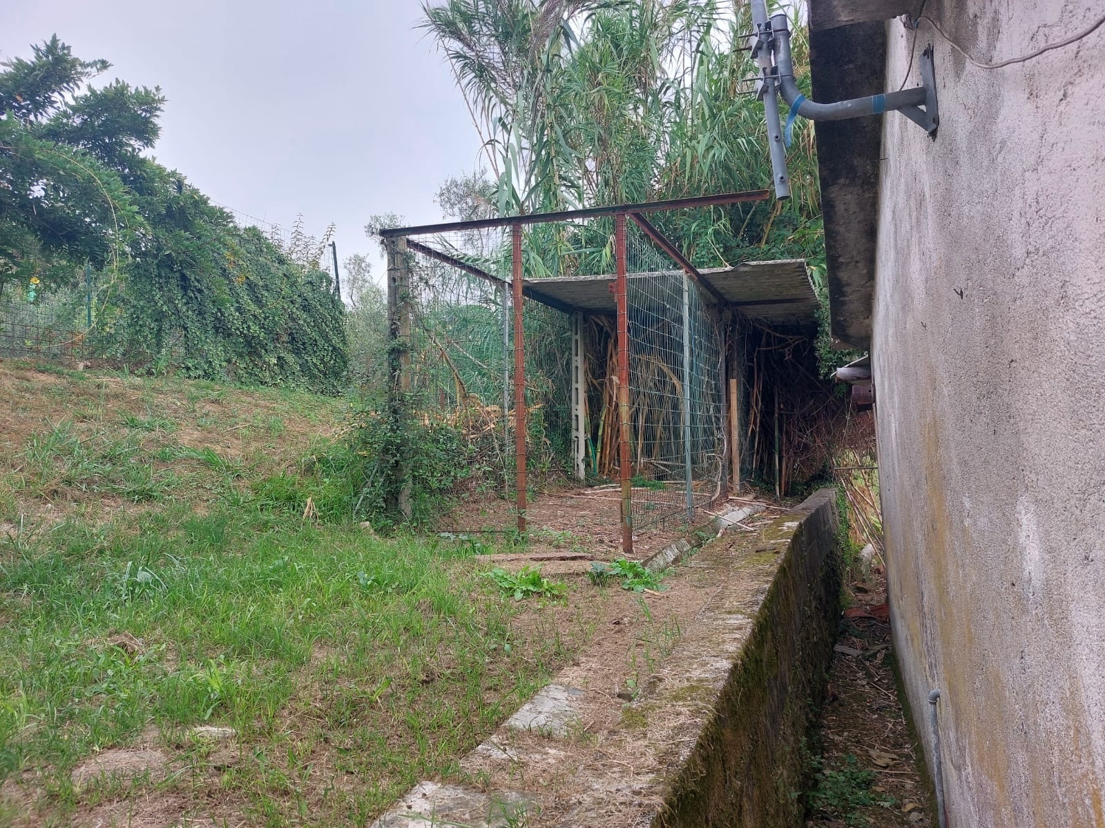 Immagine 4 di Casa semindipendente in vendita  in Via Olmarello 44 a Castelnuovo Magra