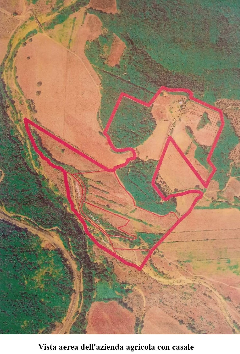 Immagine 25 di Casa vacanze in vendita  a Monterotondo Marittimo