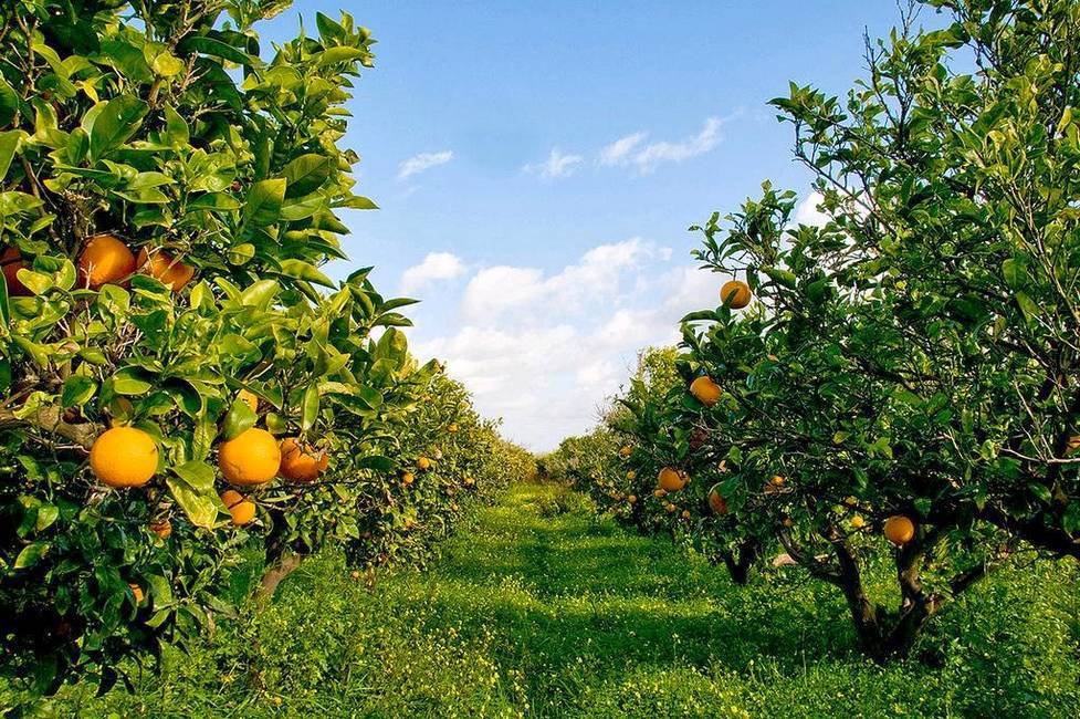 Immagine 6 di Albergo/B&B/Residence in vendita  a Bari