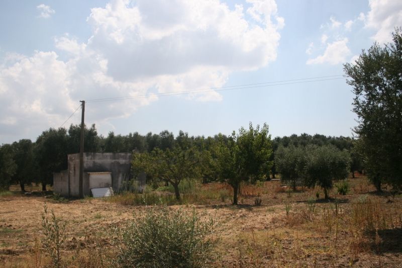 Immagine 34 di Terreno agricolo in vendita  in contrada mandrò a Cutrofiano