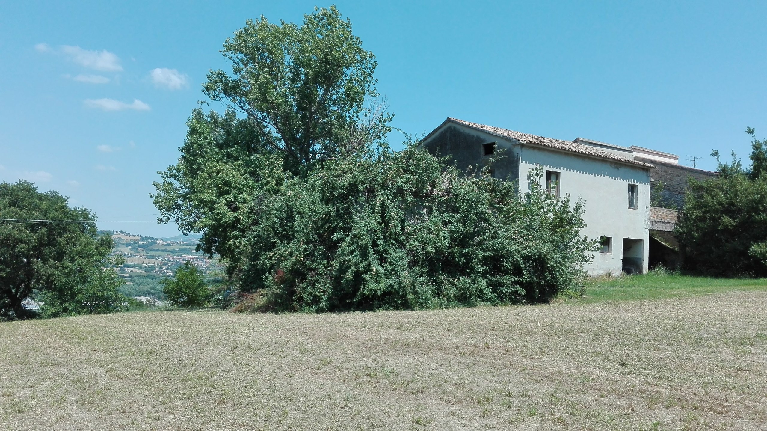 Immagine 3 di Casa indipendente in vendita  a Controguerra