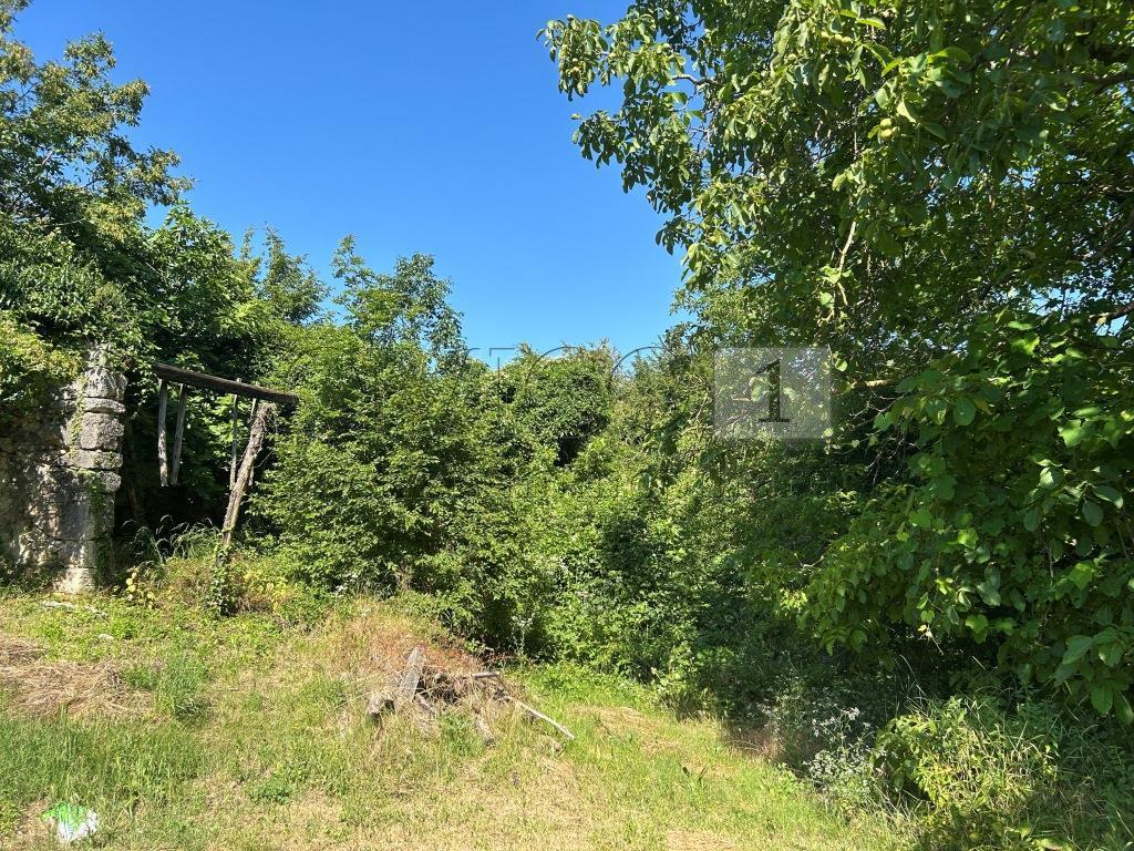 Immagine 5 di Rustico / casale in vendita  in Via Tavella 10 a Barbarano Mossano