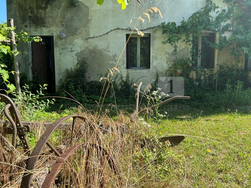 Immagine 6 di Rustico / casale in vendita  in Via Tavella 10 a Barbarano Mossano