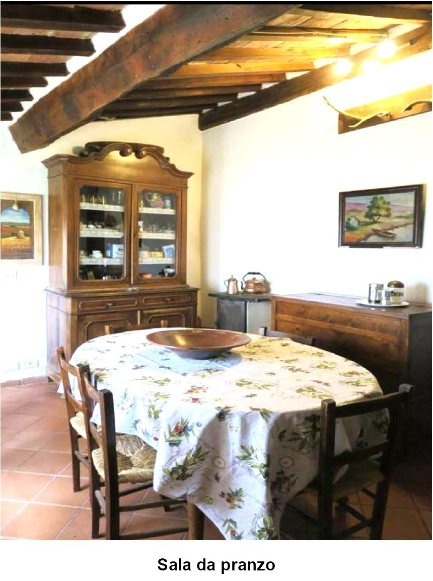 Immagine 21 di Casa vacanze in vendita  a Monterotondo Marittimo