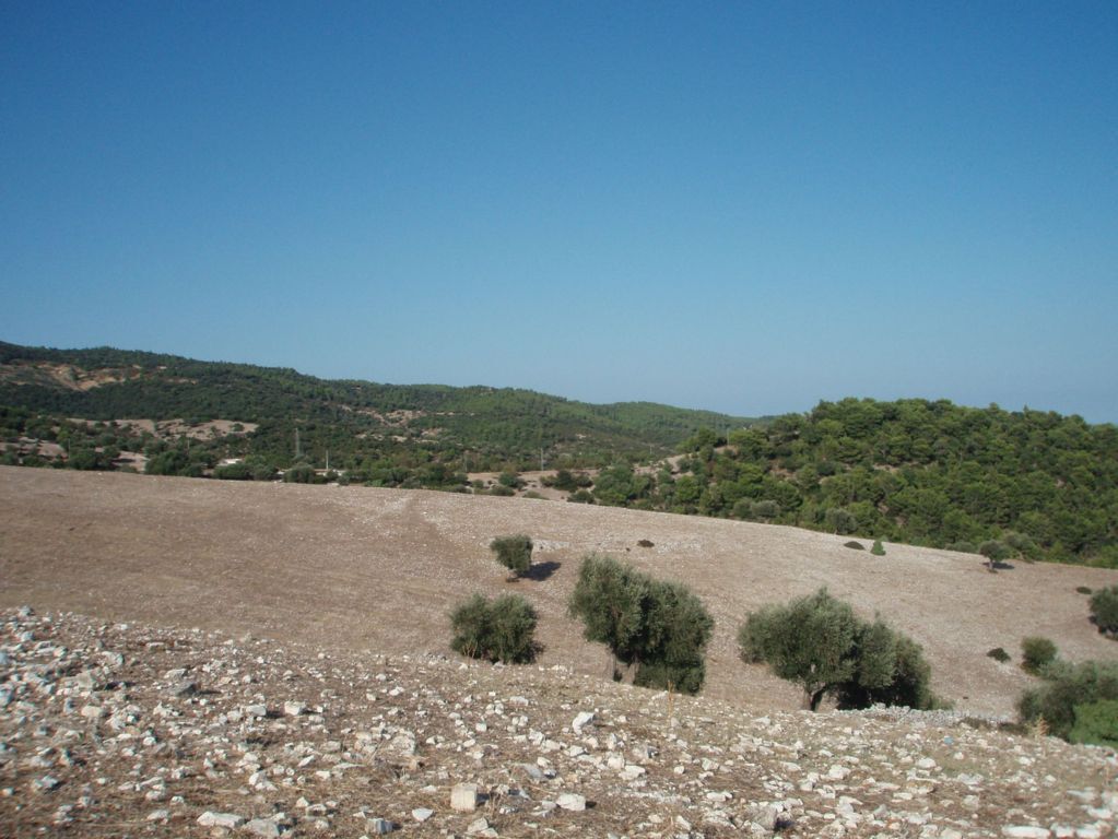 Immagine 11 di Terreno agricolo in vendita  a Mattinata