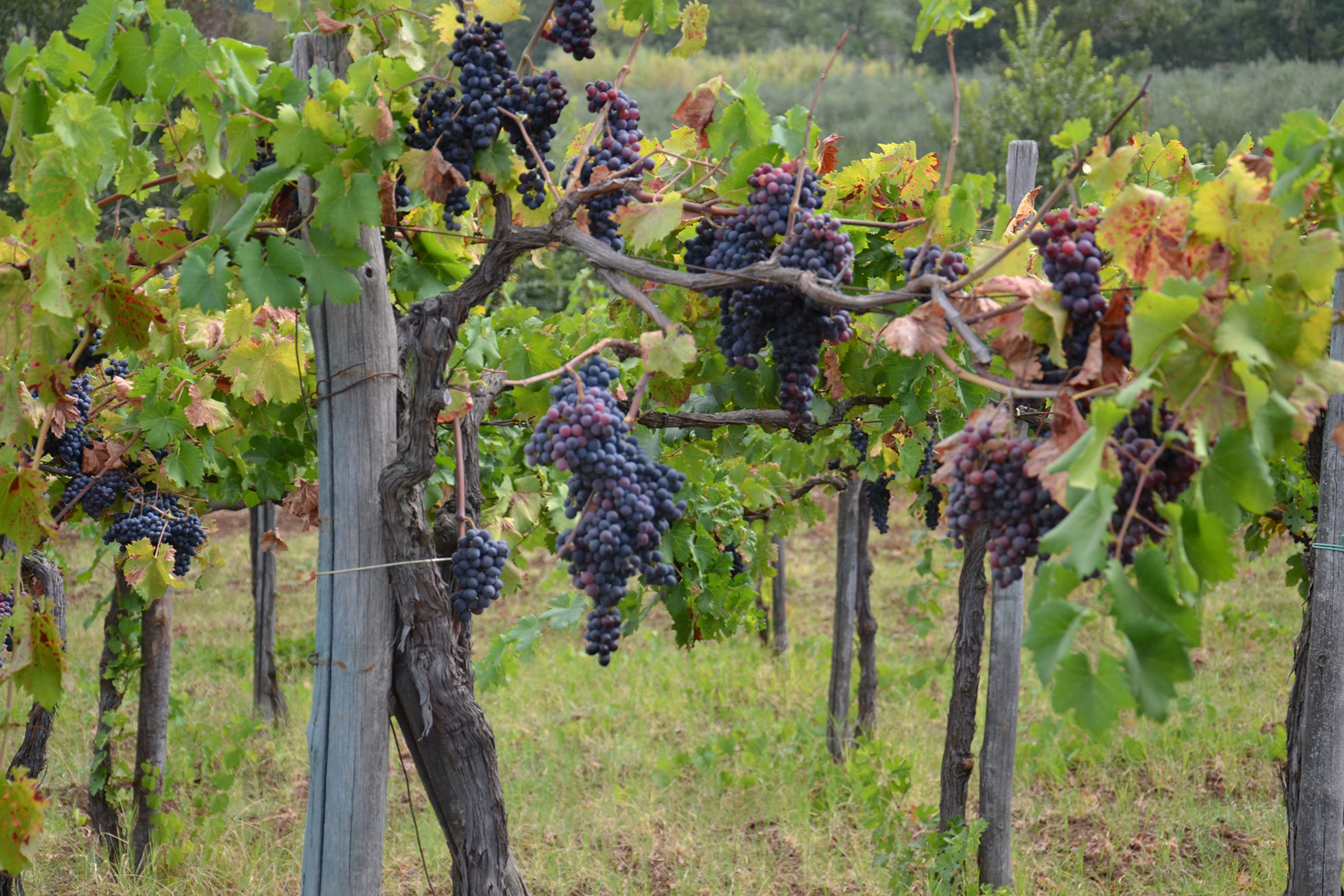 Immagine 5 di Albergo/B&B/Residence in vendita  a Bari