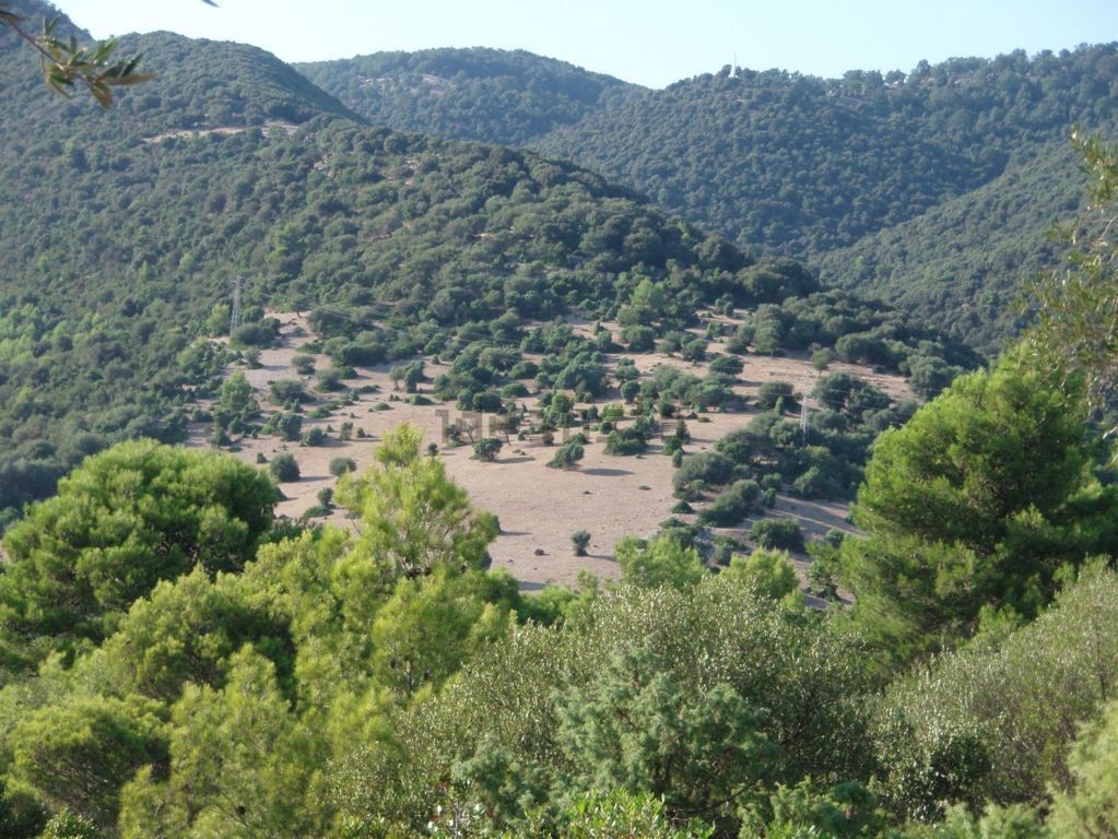 Immagine 8 di Terreno agricolo in vendita  a Mattinata