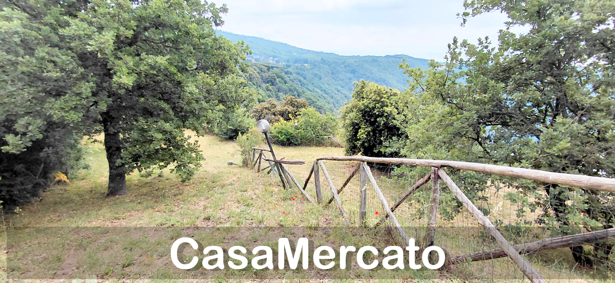 Foto annuncio 5