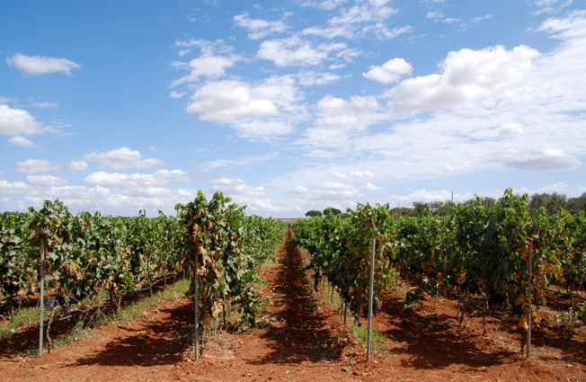 Immagine 1 di Albergo/B&B/Residence in vendita  a Bari