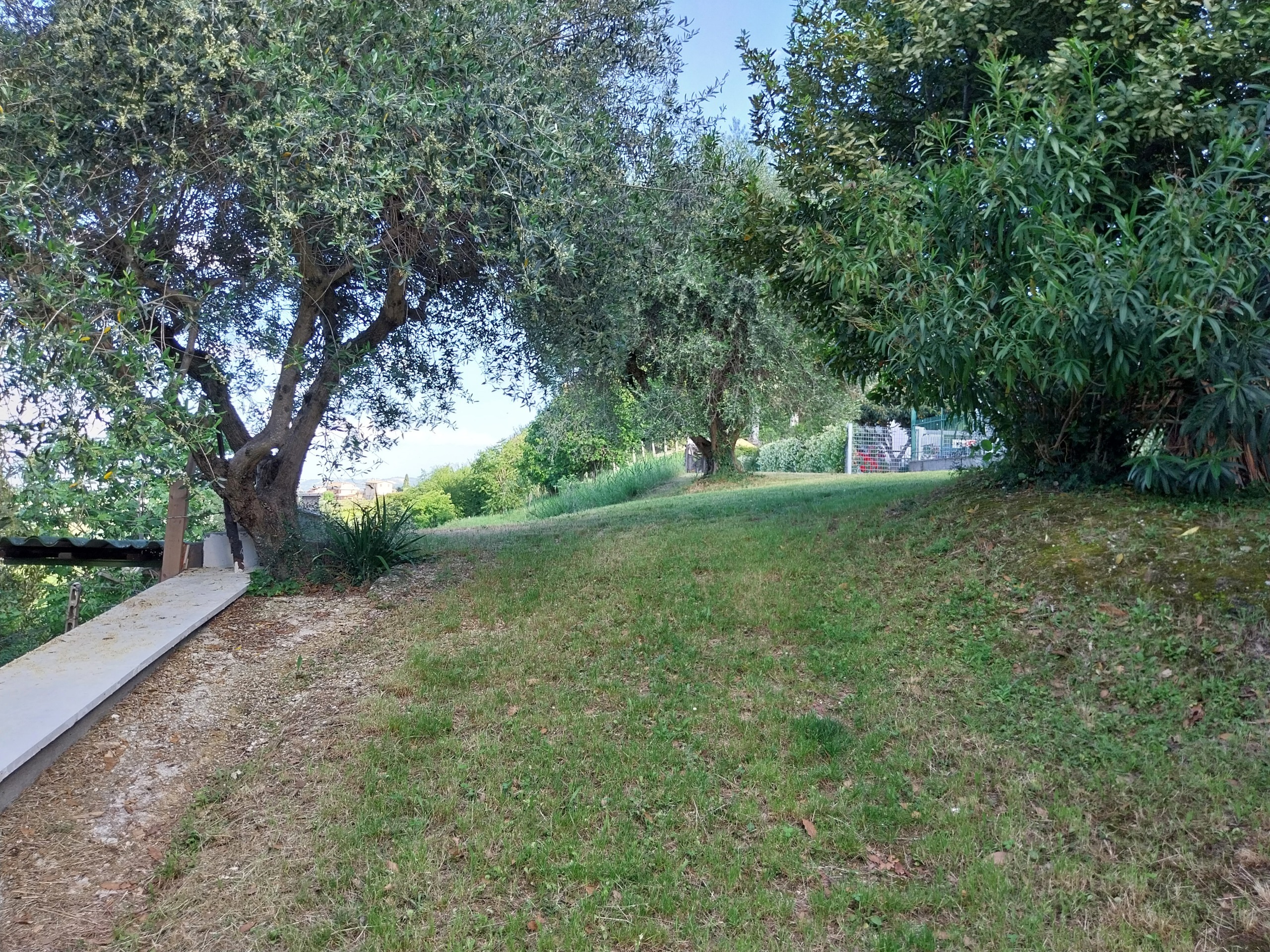 Immagine 25 di Casa indipendente in vendita  a Castorano