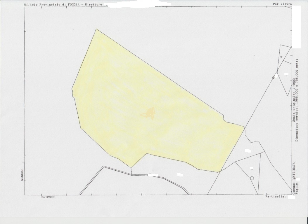 Immagine 22 di Terreno agricolo in vendita  a Mattinata