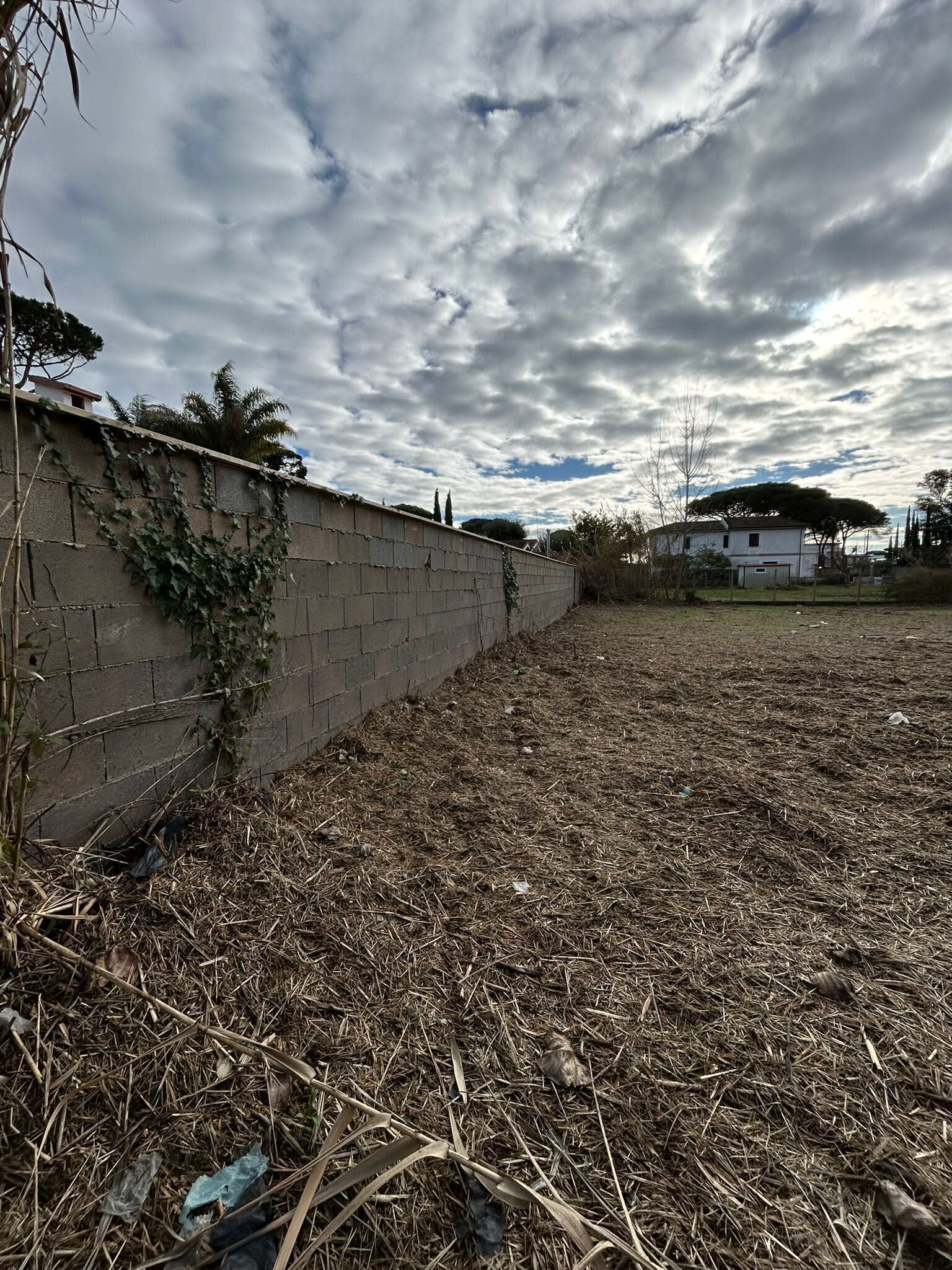 Foto annuncio 2