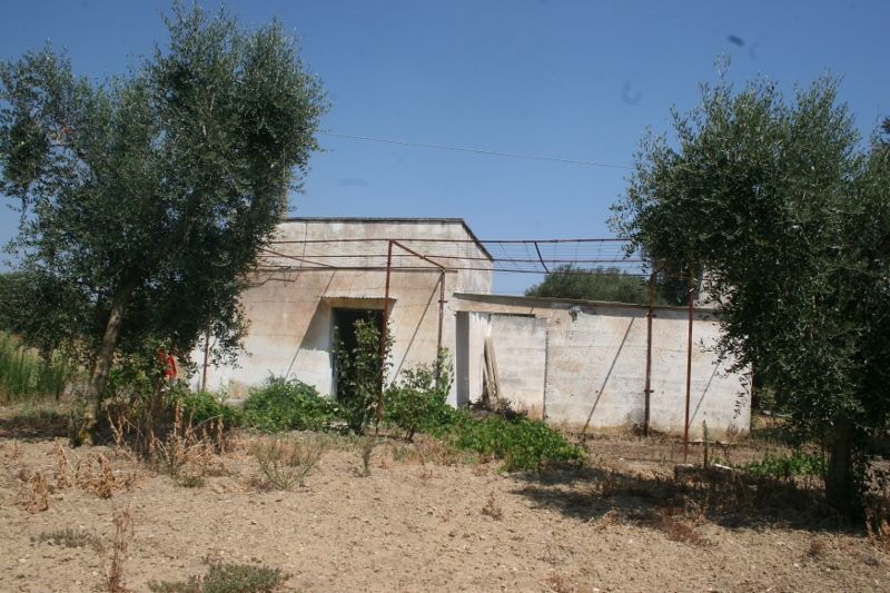 Immagine 11 di Terreno agricolo in vendita  in contrada mandrò a Cutrofiano