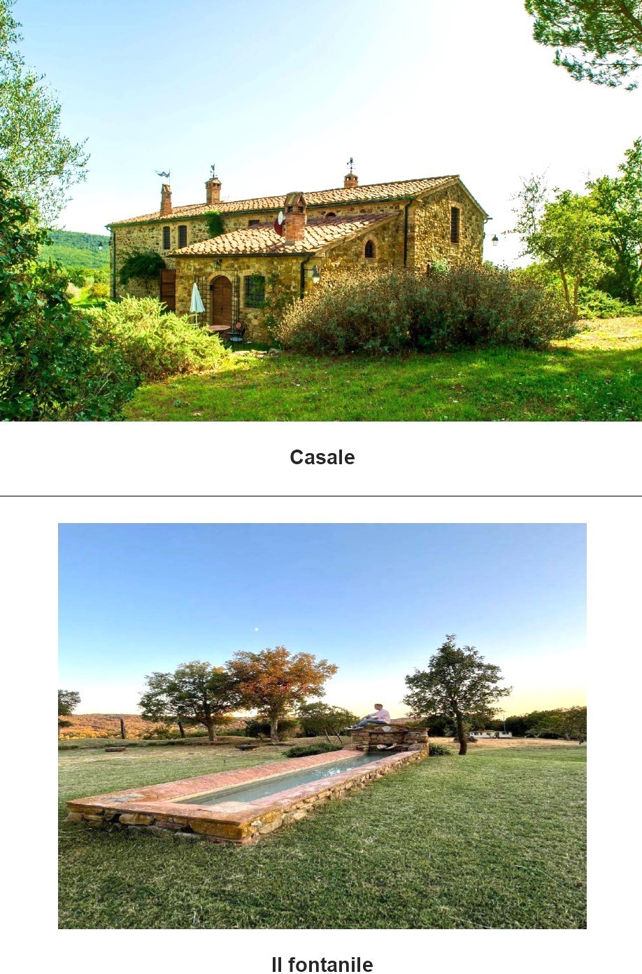 Immagine 8 di Casa vacanze in vendita  a Monterotondo Marittimo