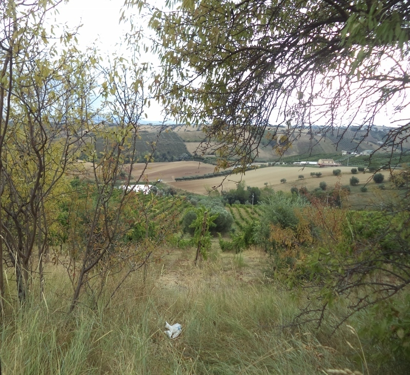 Immagine 22 di Casa indipendente in vendita  a Colonnella