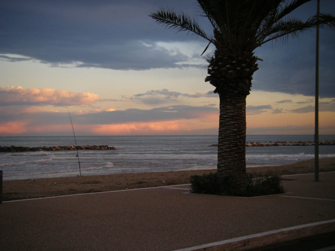 Immagine 12 di Attività commerciale in vendita  a Cupra Marittima