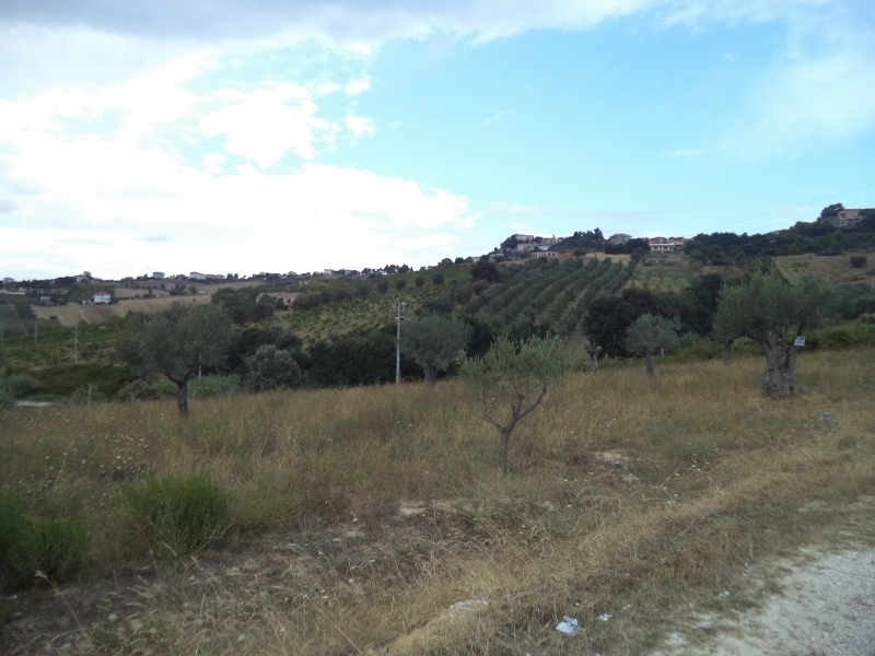 Immagine 16 di Casa indipendente in vendita  a Colonnella