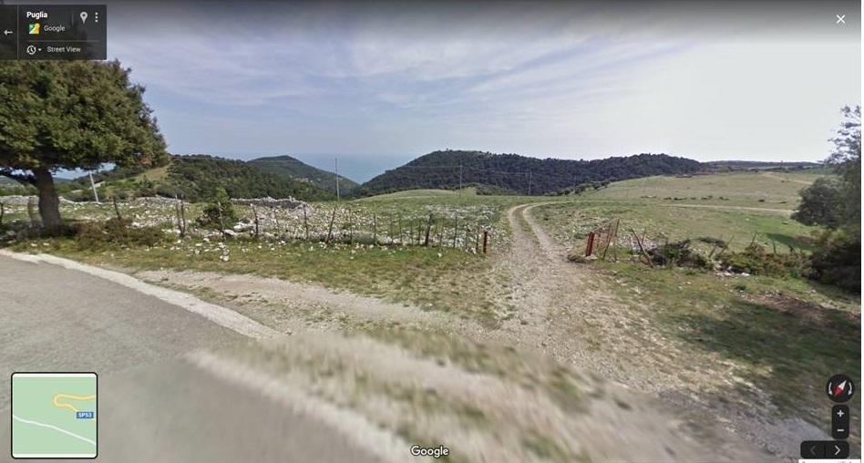 Immagine 19 di Terreno agricolo in vendita  a Mattinata