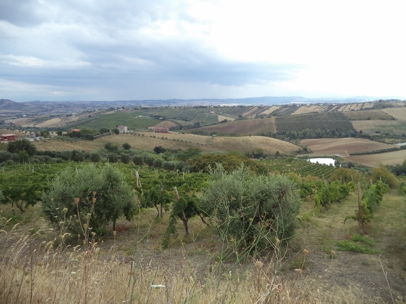 Immagine 3 di Casa indipendente in vendita  a Colonnella