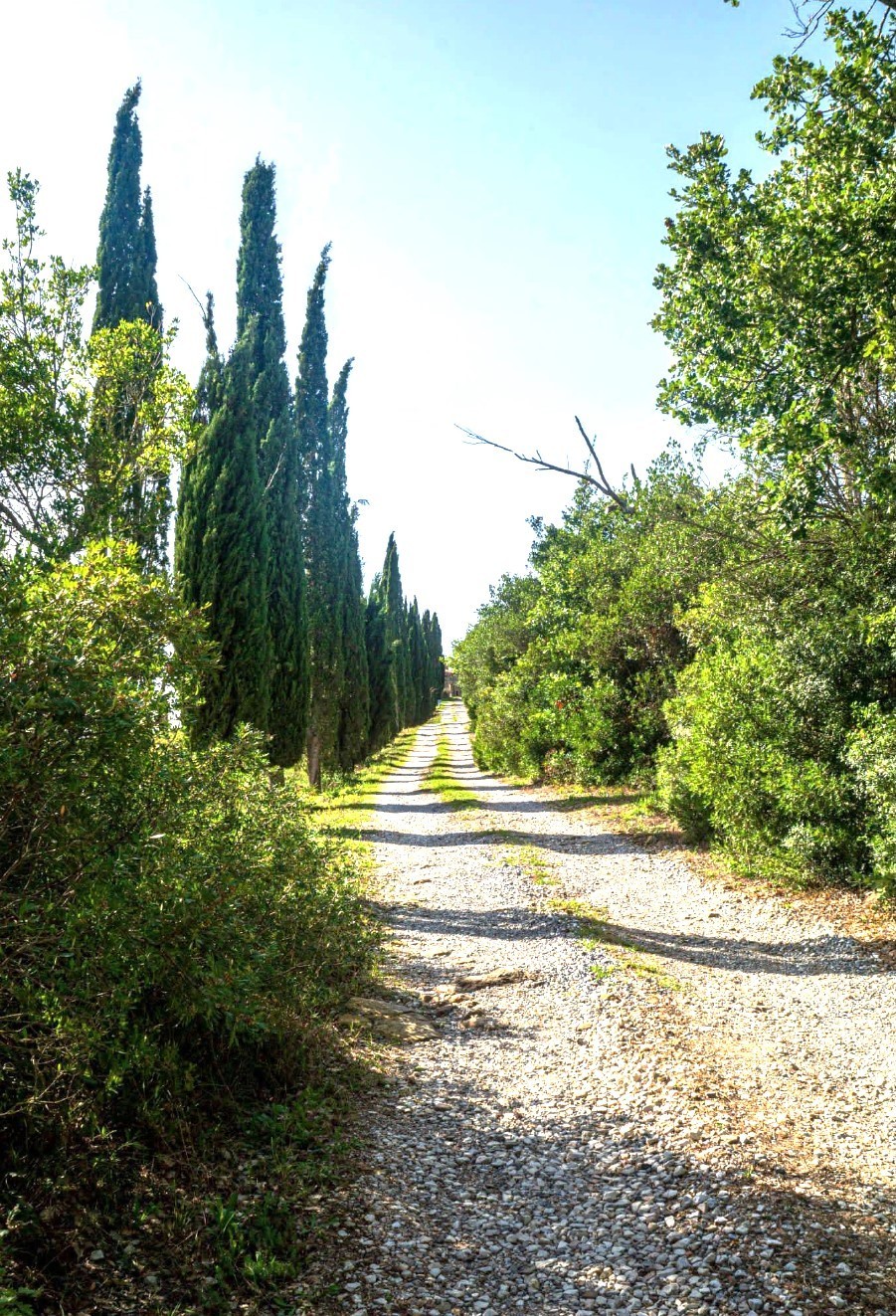 Immagine 1 di Casa vacanze in vendita  a Monterotondo Marittimo