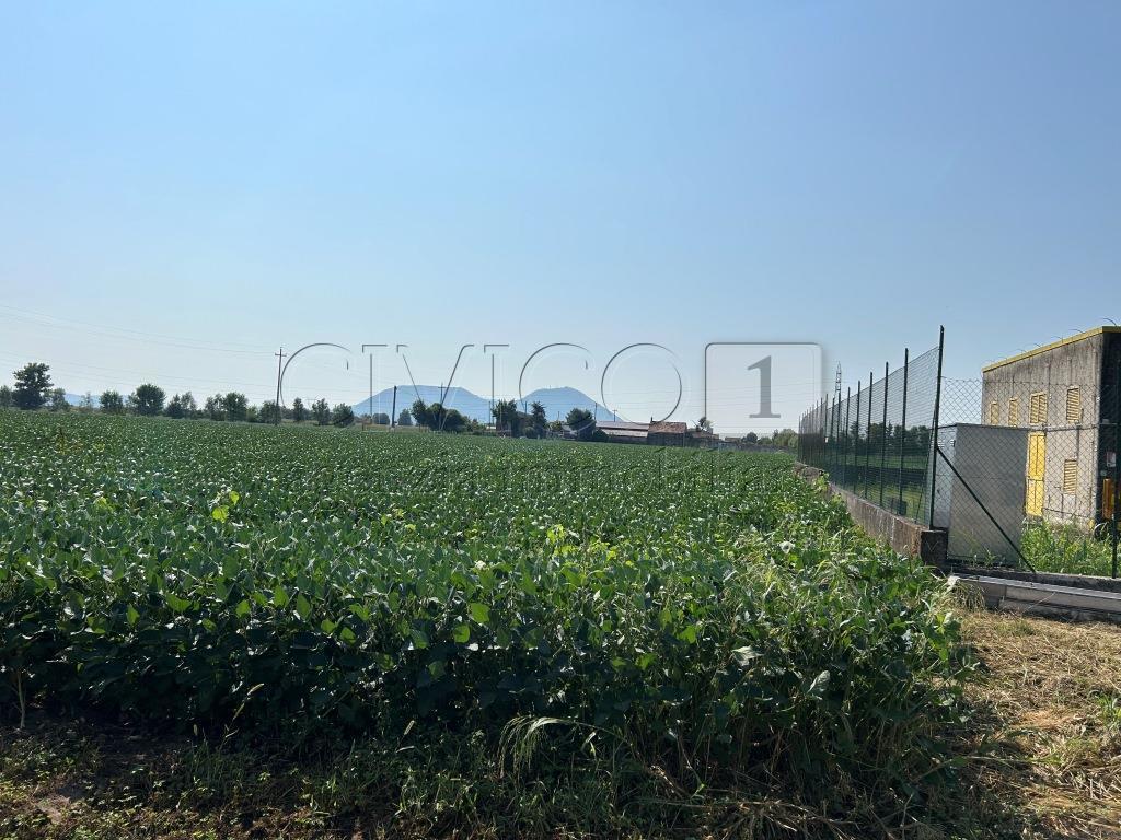 Foto annuncio 19