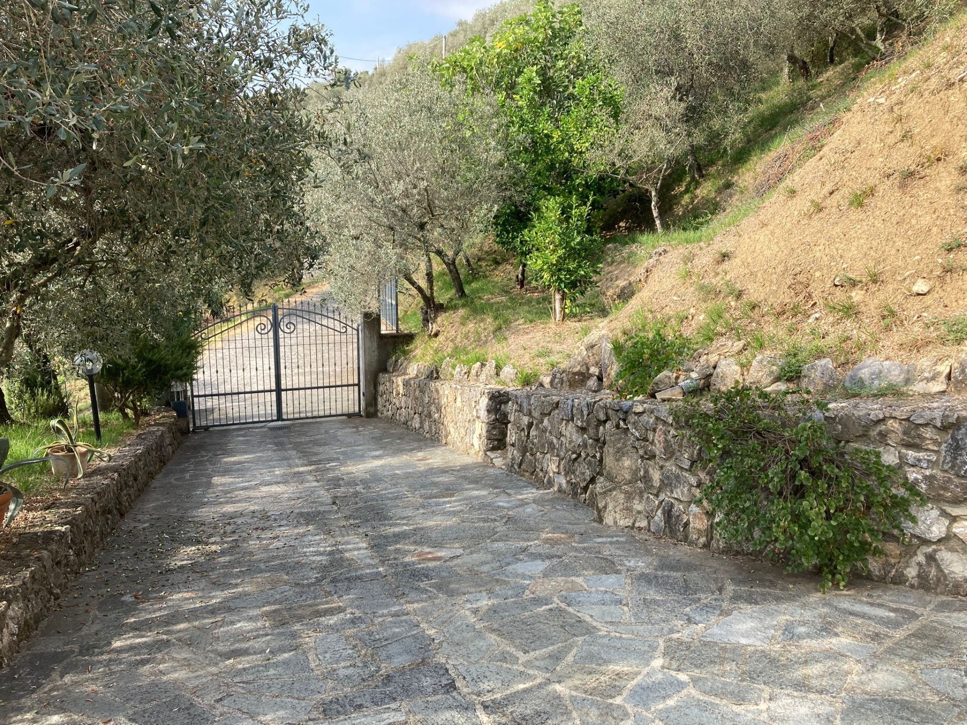 Immagine 10 di Villa in vendita  in Via Provinciale 247 a Castelnuovo Magra