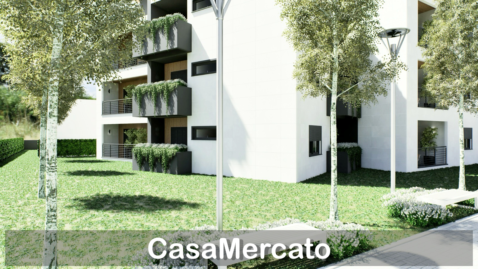 Foto annuncio 4