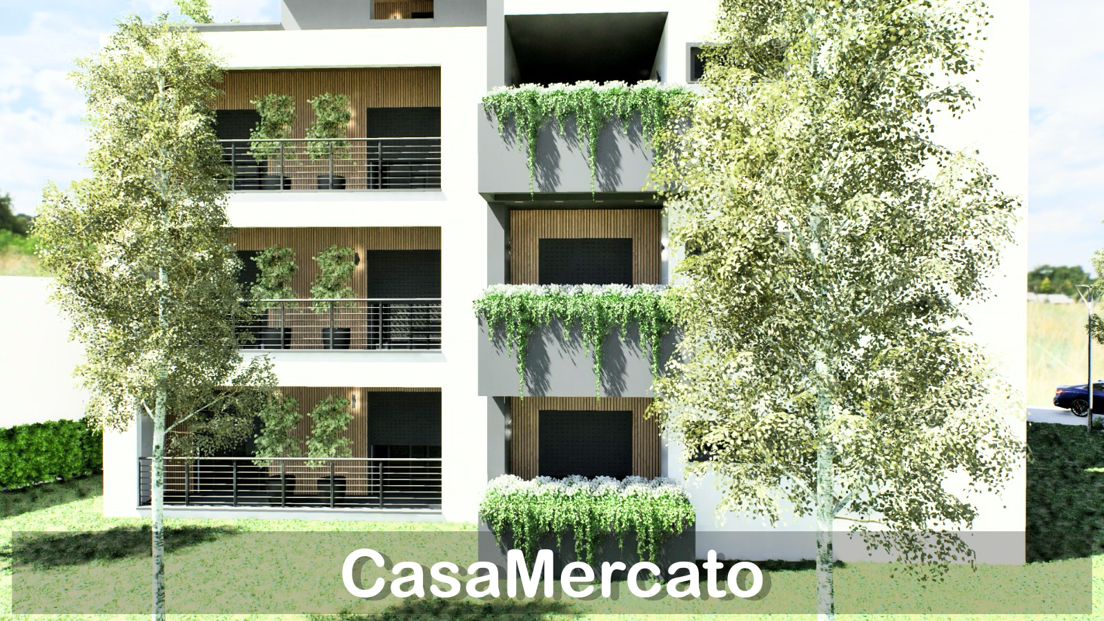 Foto annuncio 3