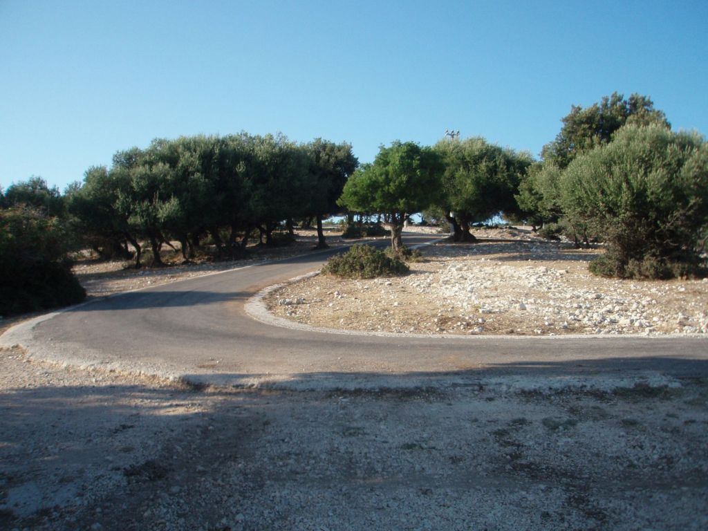 Immagine 10 di Terreno agricolo in vendita  a Mattinata