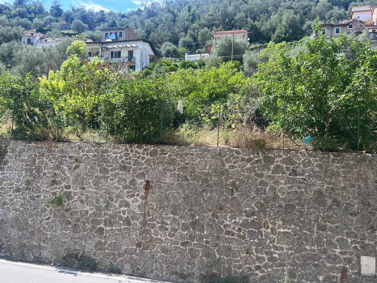 Foto annuncio 19