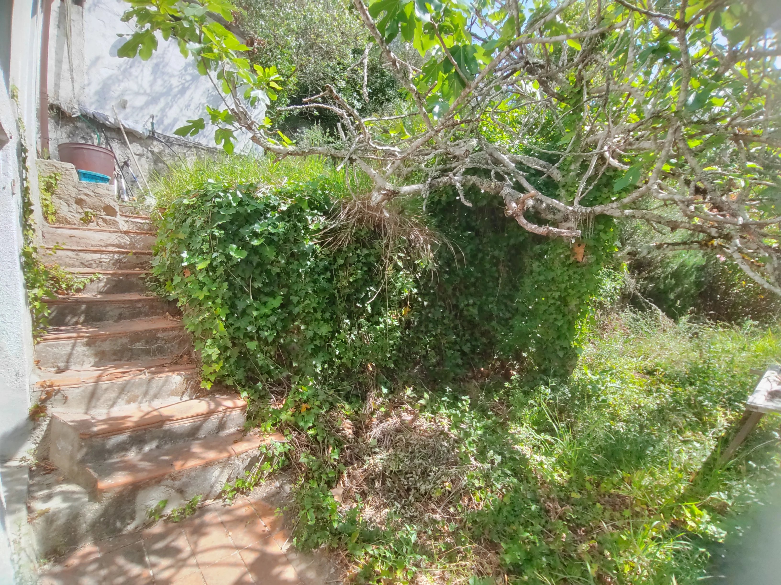 Foto annuncio 22