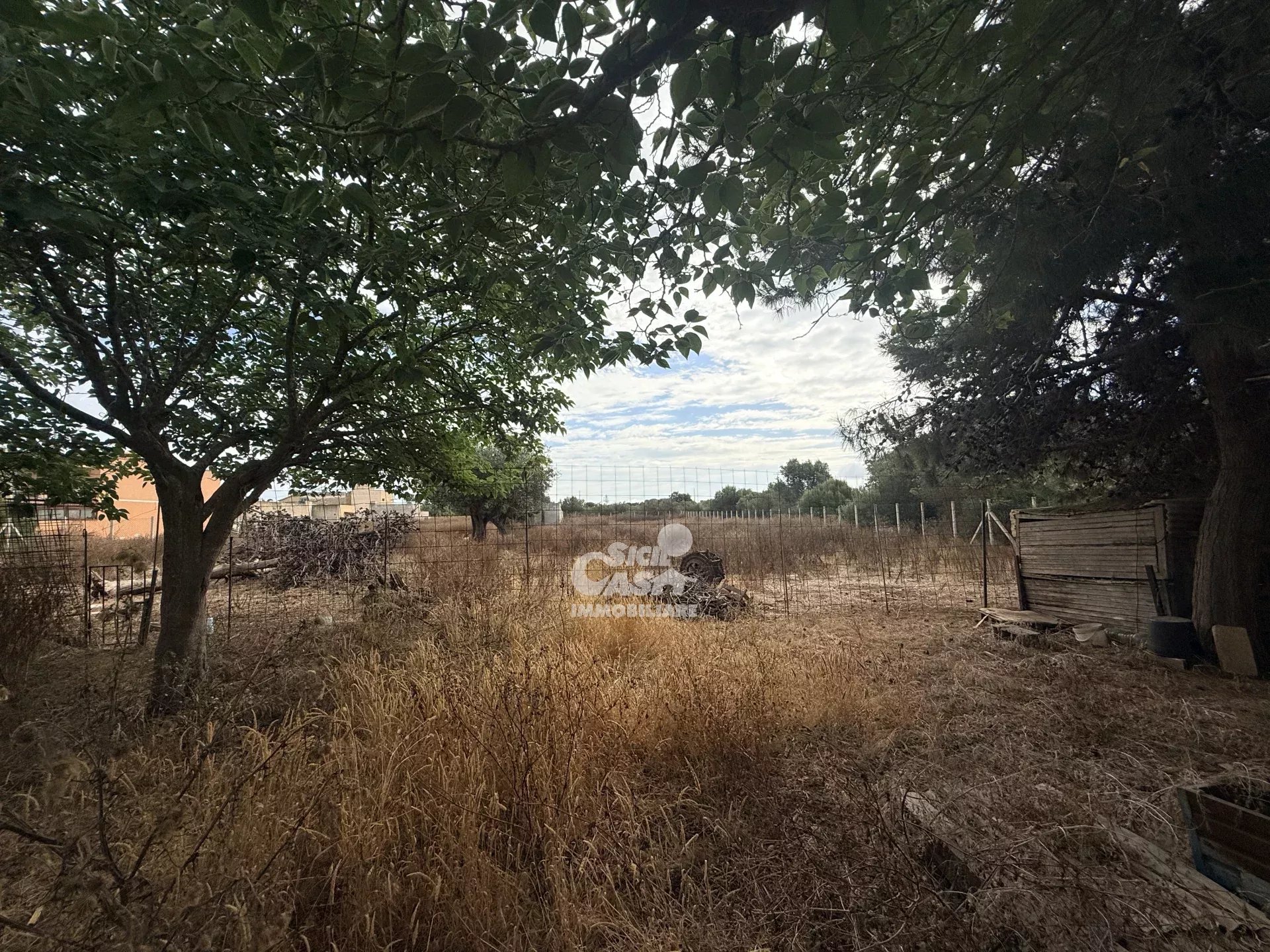 Foto annuncio 6