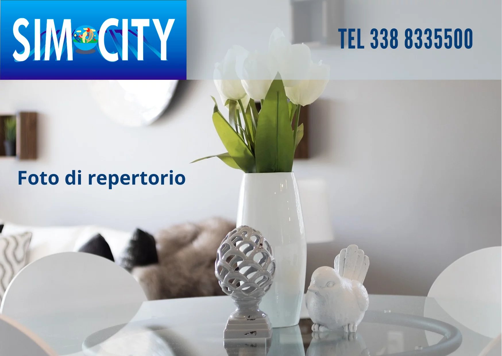 Foto annuncio 6