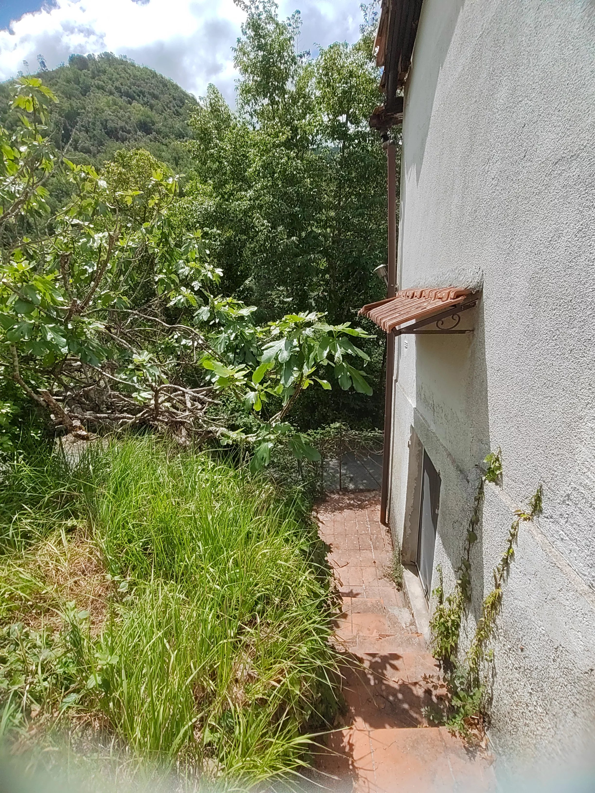 Foto annuncio 27