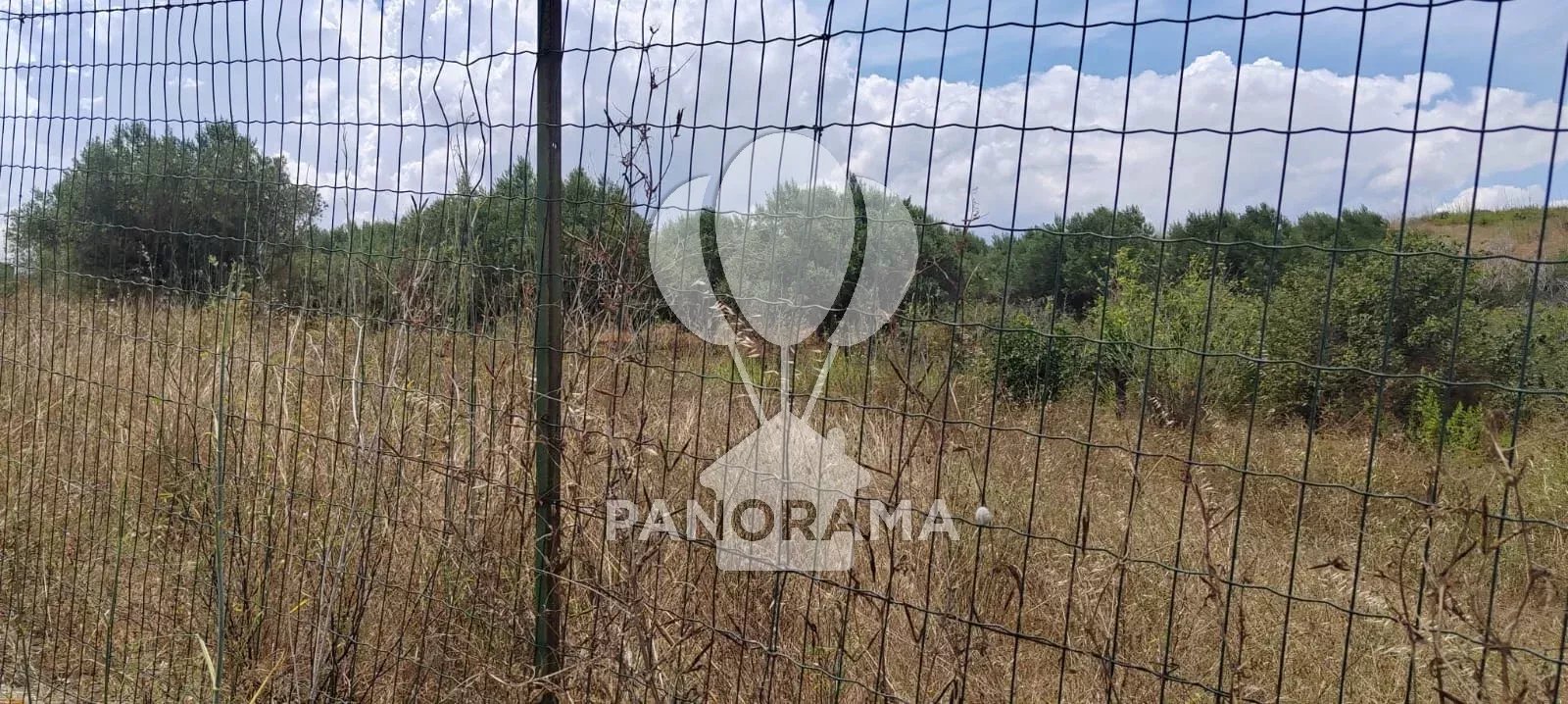 Foto annuncio 8