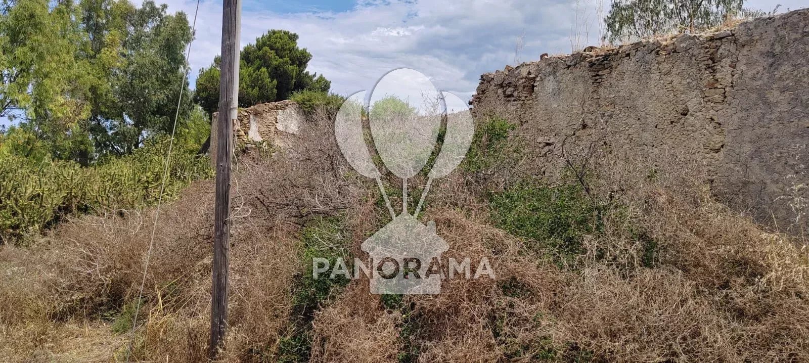 Foto annuncio 13