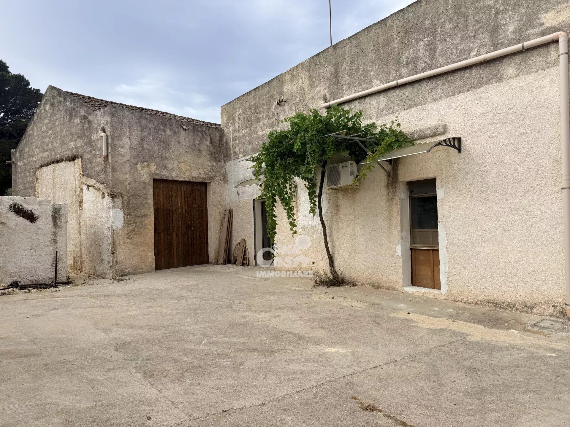 Foto annuncio 19