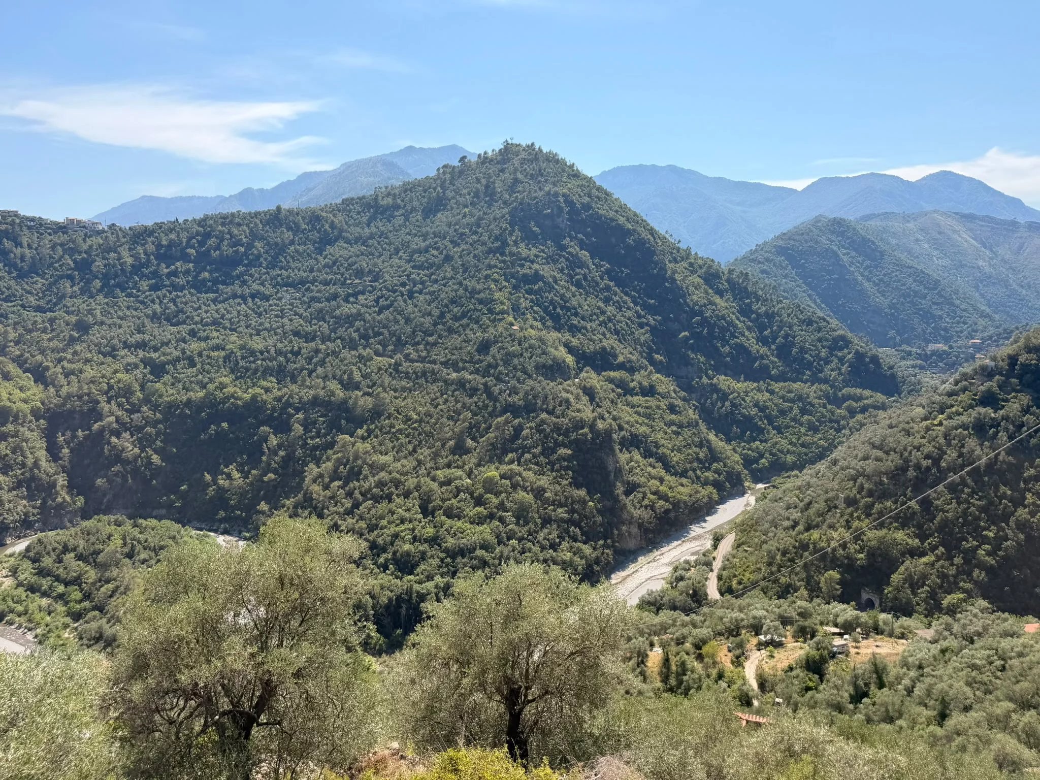 Foto annuncio 10