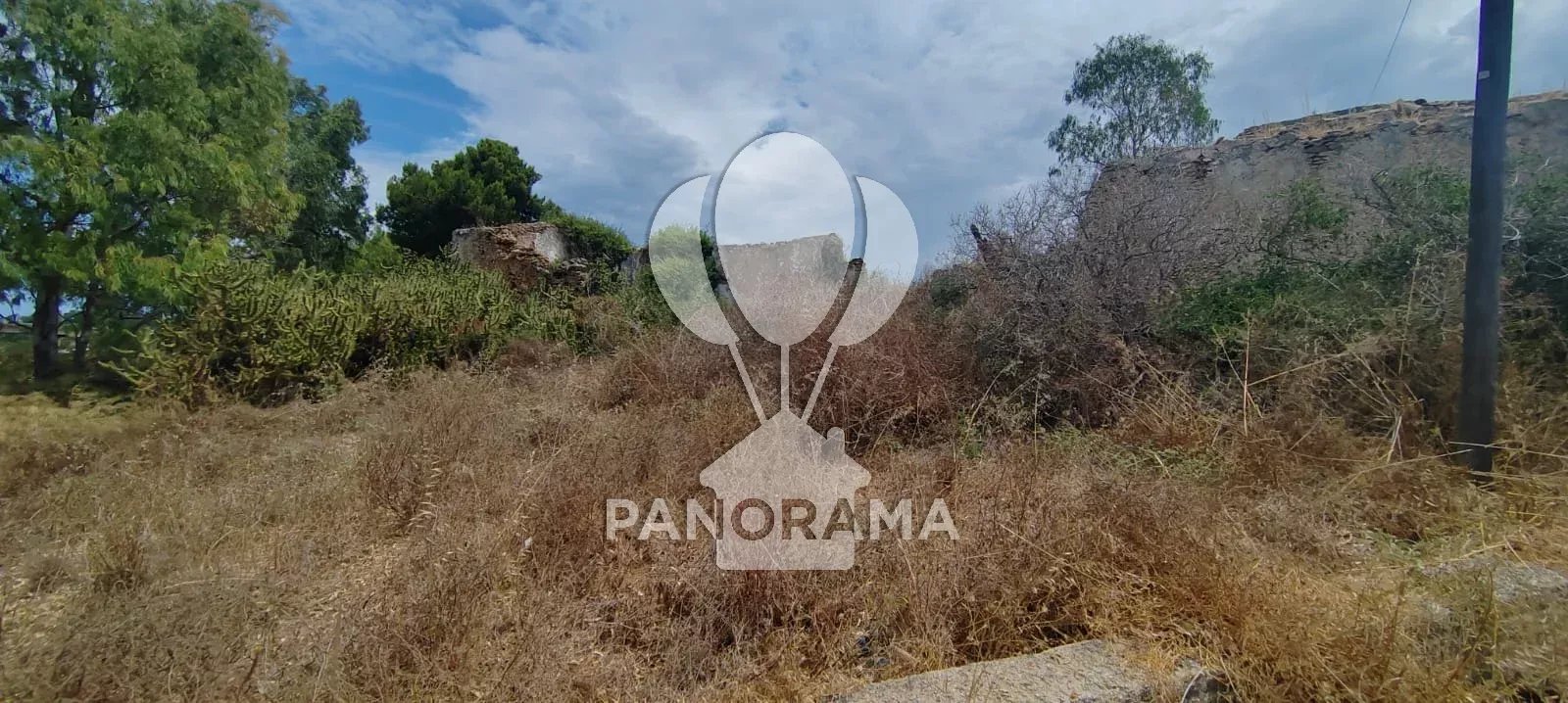 Foto annuncio 6