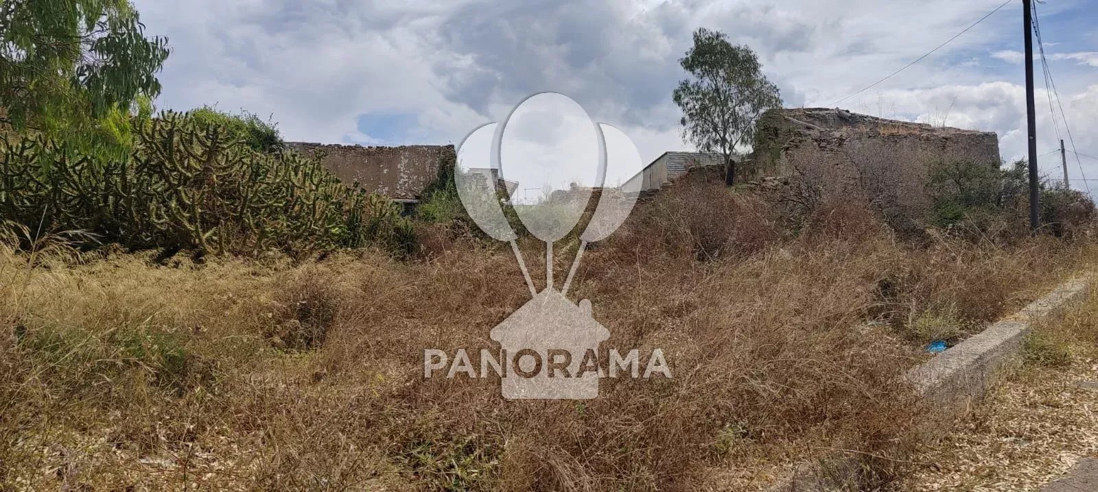 Foto annuncio 11